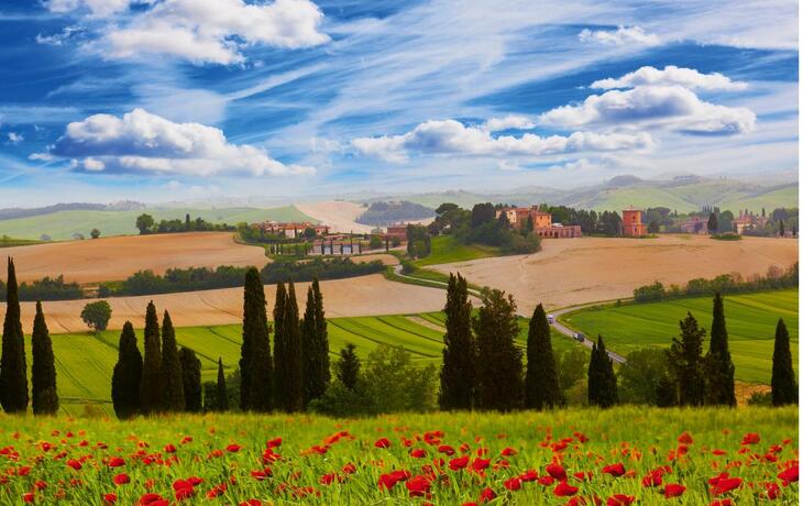 Ländliche Landschaft mit blühenden Mohnblumen,Toskana,Italien