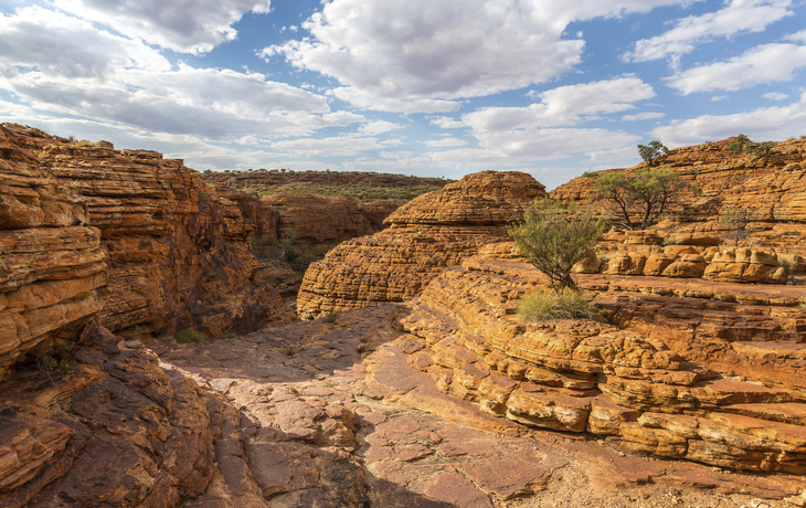 Kings canyon