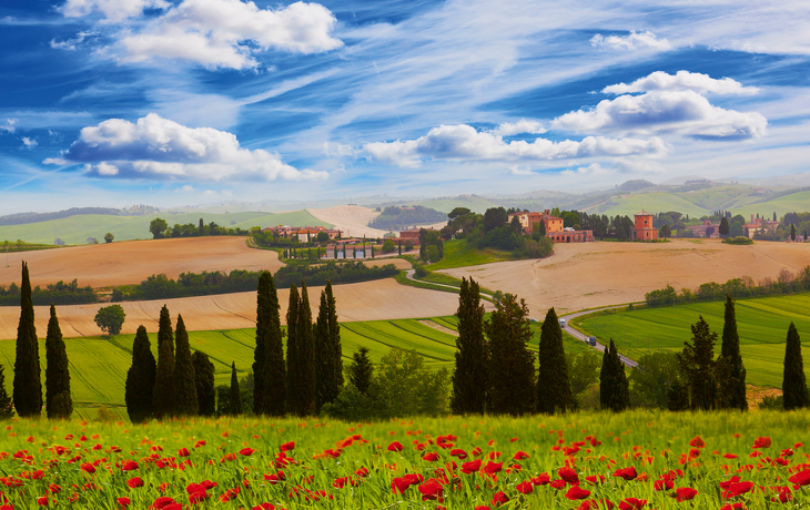 Ländliche Landschaft mit blühenden Mohnblumen,Toskana,Italien