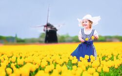 1. Tag: Windmühlenpark Kinderdijk 2
