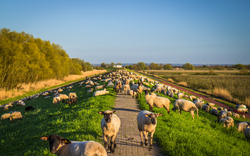 2. Tag: Altes Land und eine wunderschöne Radtour 2