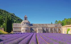 8. Tag: Roussillon / Provence 1