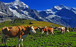 4. Tag: Alpenparadies 2