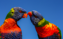 3. Tag: Mount Gambier 2