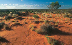 9. Tag: Alice Springs 1