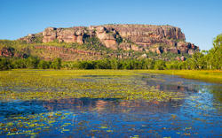 18. -19. Tag: Kakadu Nationalpark 3